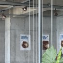 풍진식당 | 2025년 8월 일상기록