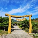 해인사 소리길 이미지