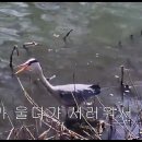 바람길 이미지