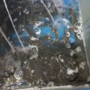 장지골메기매운탕 이미지