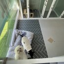 늘품로3 이미지