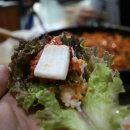 춘천명동본가닭갈비 이미지
