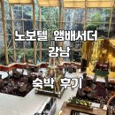 [숙박] 노보텔 앰배서더 서울 강남 호텔 숙박 후기
