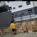 옥이텃밭 이미지