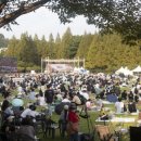 대청호대덕뮤직패스티벌 이미지