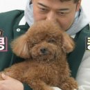 제니유치원 이미지