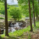 자연누리힐링 이미지