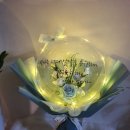 제이;나 플랜트 이미지