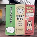 연희도그 이미지