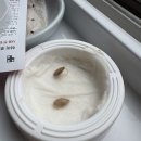[1] 패티팬 스쿼시