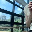 힐링패러아카데미 | 1일차 할인과 꿀팁 정보도 함께! | 이끼터널, 만천하스카이워크, 구경시장, 다누리아쿠아리움, 패러마을