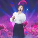 소나곡 엔디엔뉴스