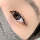 분당-393 이미지