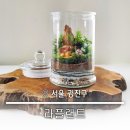 우리 집 작은 정원(홈 가드닝)만들기 | 건대 반려식물 식집사를 위한 특별한 홈가드닝 테라리움클래스 라플랜트