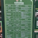 4공단로1L-14 | 칭다오 4박 5일 여행 :: 칭다오 맥주박물관│칭다오 맥주교역소 방문 후기