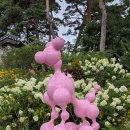 Bubble Dog 이미지