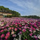포2리마을회관 이미지