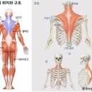 바디로그필라테스 - 김포시 김포한강11로 133 | 바디로그필라테스