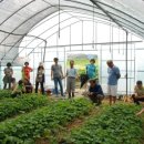 이창선 농장 이미지