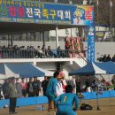 달성군민운동장 Daum카페