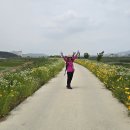 광천마을 이미지