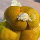 유라농장 이미지