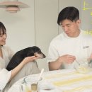 에그머니나 이미지