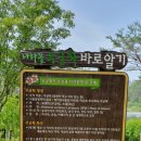 판암근린공원 이미지