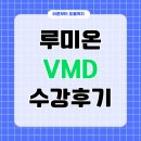 인스케이프 | 실전 중심 루미온 VMD 수업 수강후기