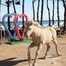 오시기식당 이미지