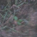 한수농장 이미지