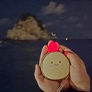 충전식 손난로 겸용 휴대용 보조배터리 5000mAh : 알로코리아 알밤 후기