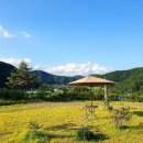 (주)제이티