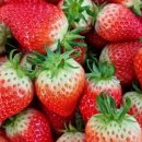 구룡면행정복지센터 이미지