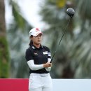 블루베이 이미지