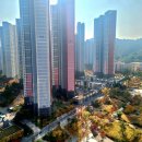 만평부동산중개사무소 이미지