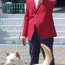 무지개훈련소 이미지