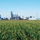 우리가스 이미지