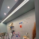 디오펫샵 이미지