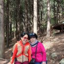 감천산림공원 이미지