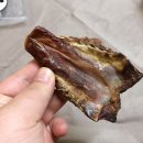 댕냥점빵 이미지