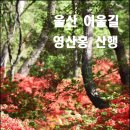 울산 어울길(솔마루길) 영산홍산행 이미지