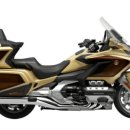 골드윙(GOLD WING)