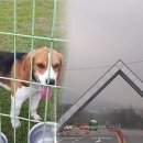 김경래 농장 이미지