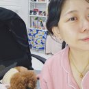 젠크루 | 포레덤 젠틀 마이크로 클렌징 휩 솔직 후기, 자극 없이 산뜻한 거품 세안의 정석