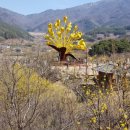 떡익는풍경 이미지