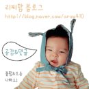 네네치킨신도시점 - 안산시 단원구 | 네네치킨신도시점