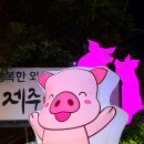 고굽녀 | 반여동에서 제주 가는 법 |제주홍돼지 반여본점|으로 가면 여기가 제주도 아이겠심꺼 반여동맛집 추천