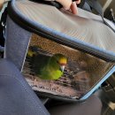 케나인동물병원 이미지