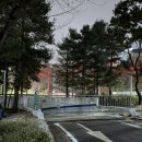 현대홈타운아파트 206동 앞 | 임장일지(13)_ 용인 죽전 대지마을 현대홈타운 2차아파트